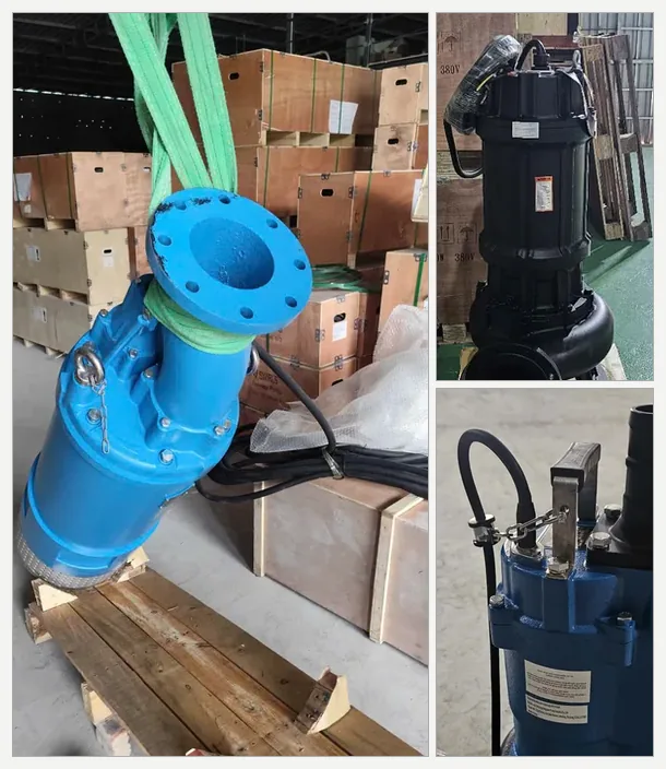Bơm chìm cỡ lớn đang được cẩu lên – bomchim.net